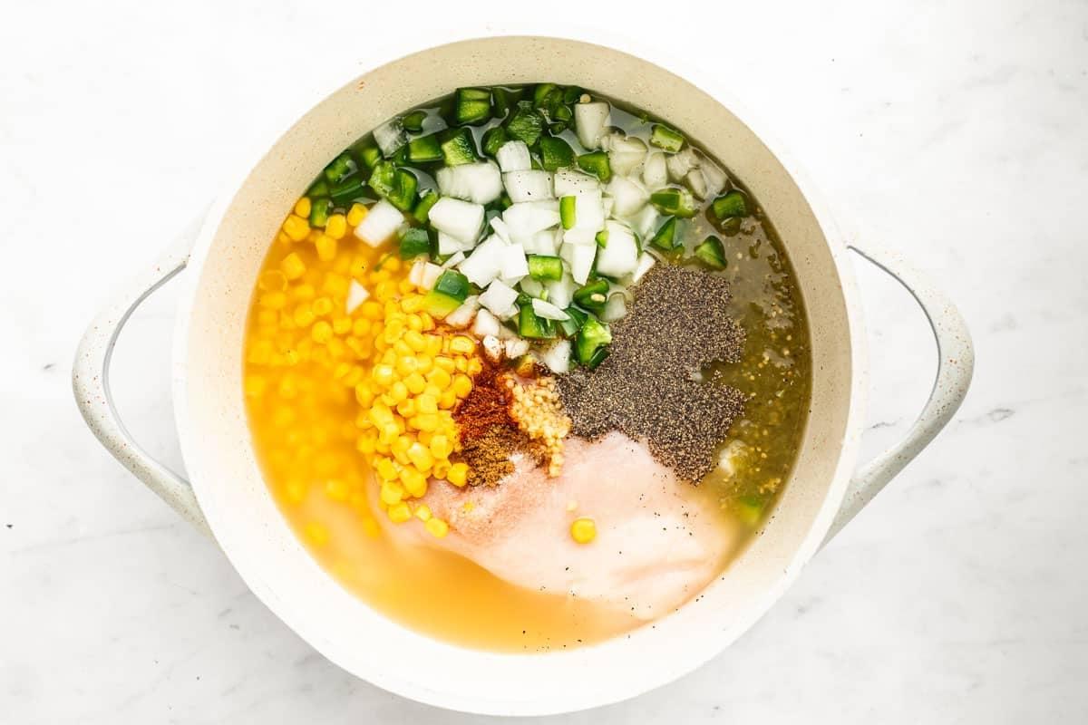 Frisch zubereitete Salsa Verde Hühnersuppe im Topf.