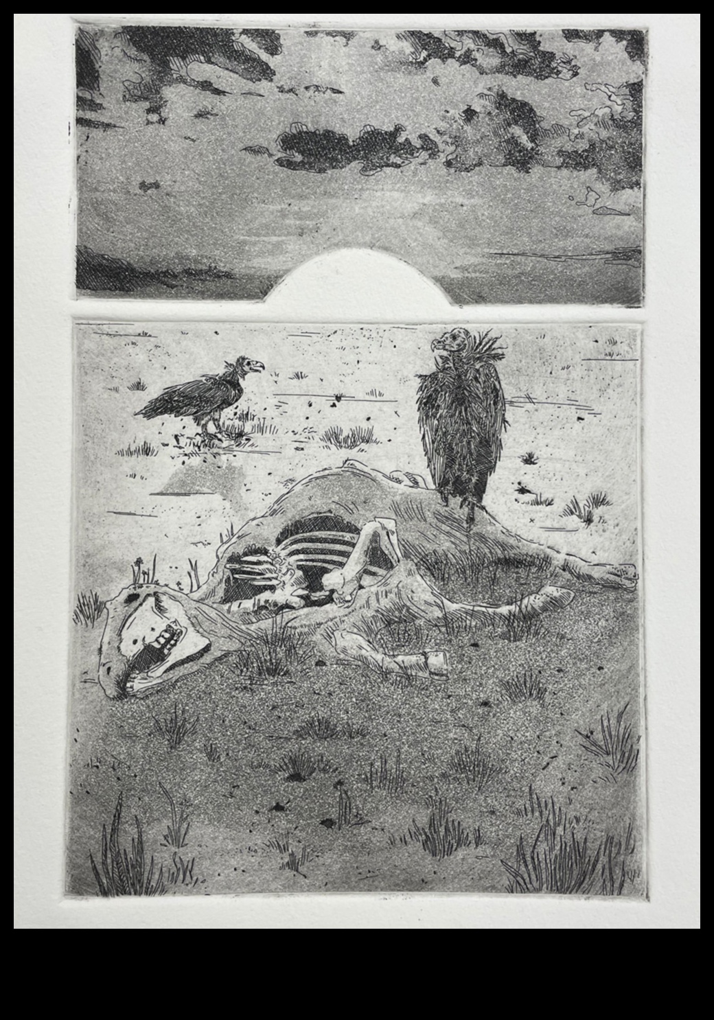 Tehnici avansate în imprimare: crearea de artă grafică unică unică