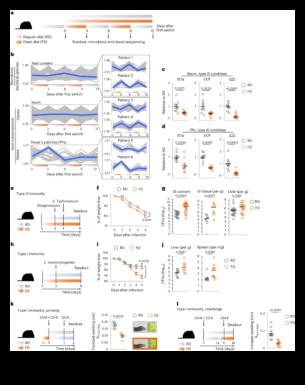 Diete pe termen scurt pentru afecțiuni cronice un primer 3 Sunt dietele pe termen scurt adecvate pentru persoanele cu afecțiuni cronice?