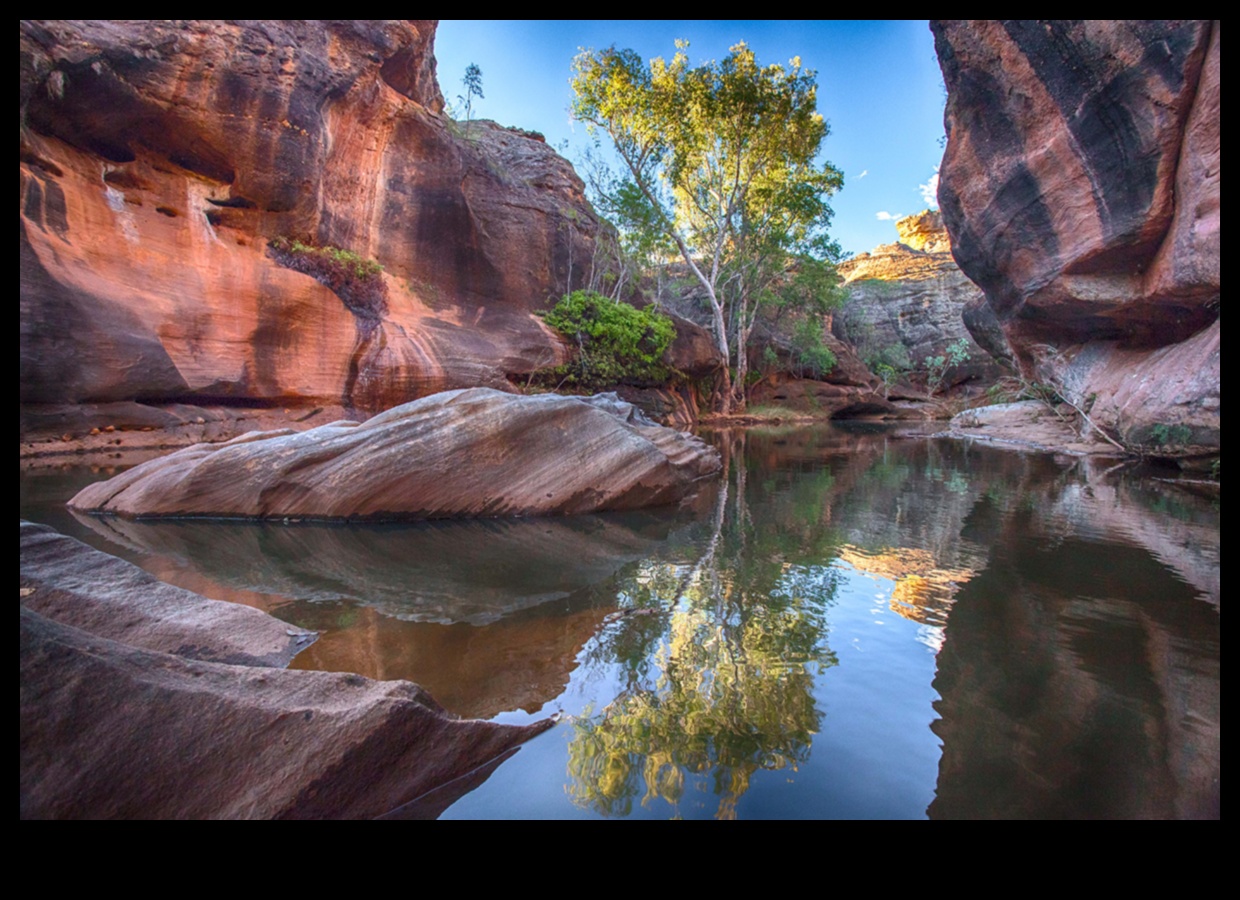 Rezerve ecologice: paradisurile sigure ale naturii