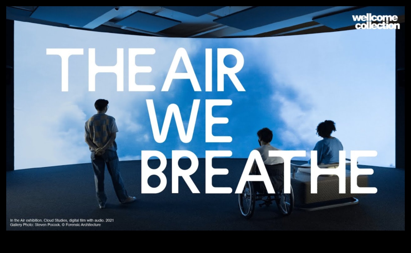 De ce anumite peisaje sunt mai vulnerabile la poluarea aerului și a apei?