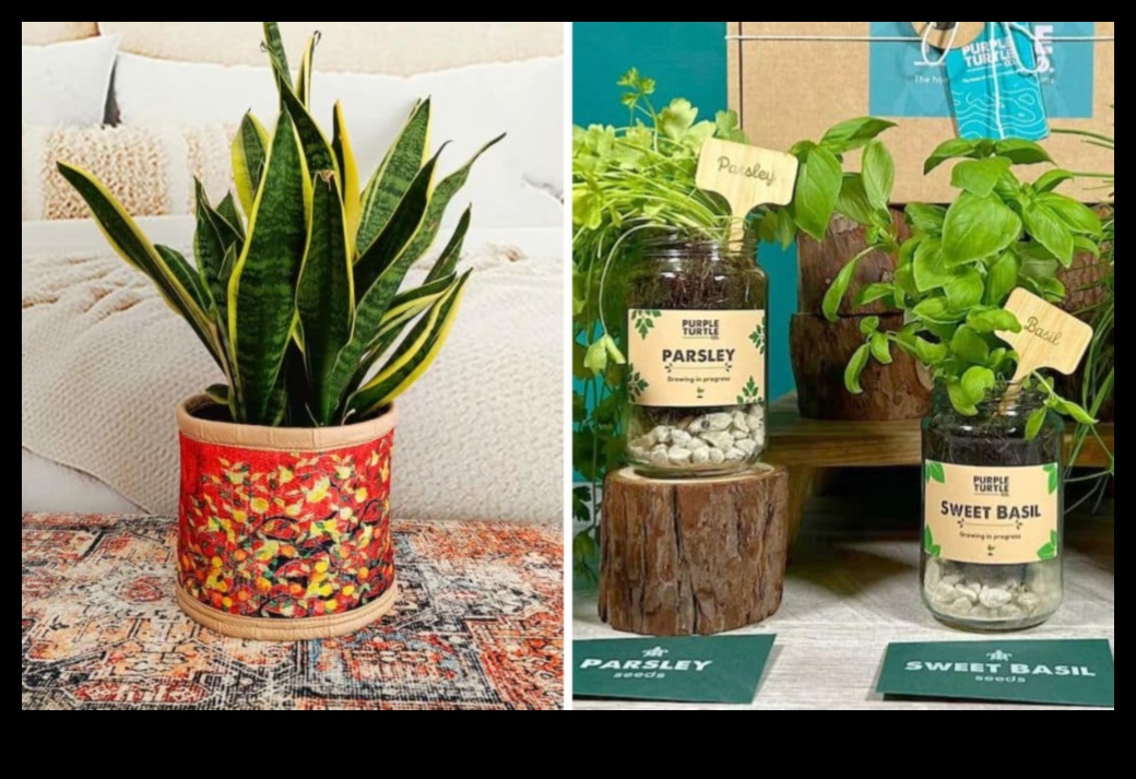 Eleganță ecologică: Cadouri verzi pentru o zi de naștere iubitoare de pământ