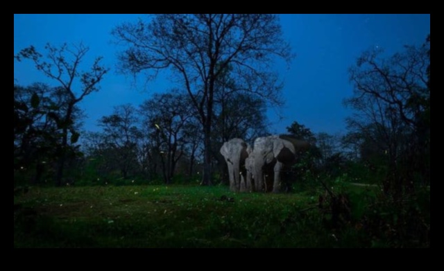 Lumea naturală în focalizare 3 Artă digitală inspirată de natură: pixeli de frumusețe naturală