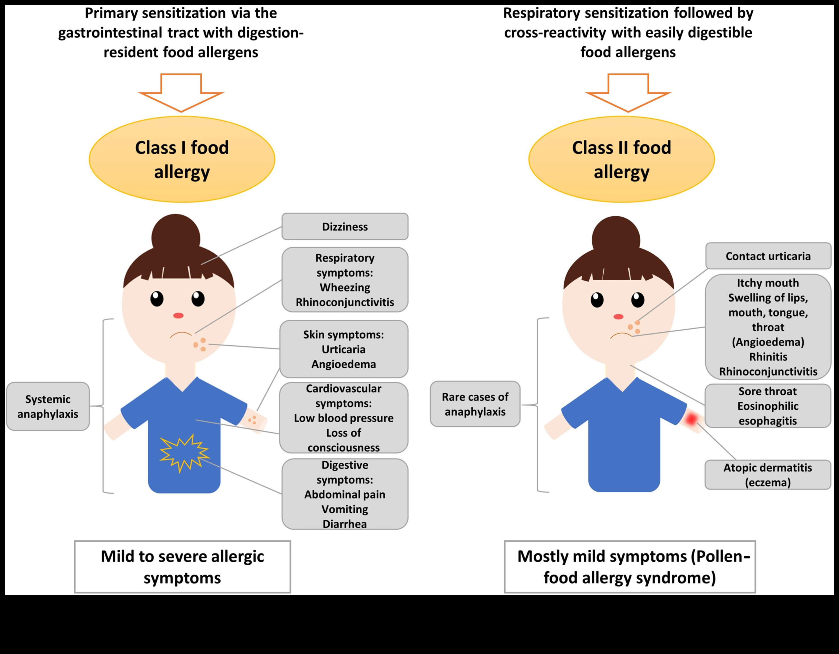 Conexiunea dintre proteine ​​și alergii sezoniere