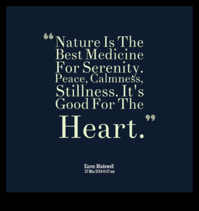 Reflecții calme: viziuni liniștite și senine explorate