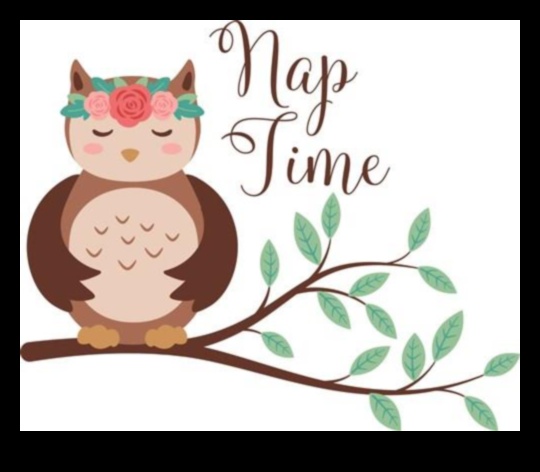 Necesități de napTime 7 must-haves pentru vise dulci 2 Necesități NapTime: echipament esențial pentru vise dulci