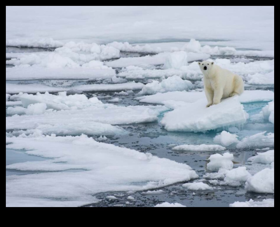 Arctic o schimbare climatică Frontline 5 Care sunt provocările de mediu cu care se confruntă peisajele arctice?