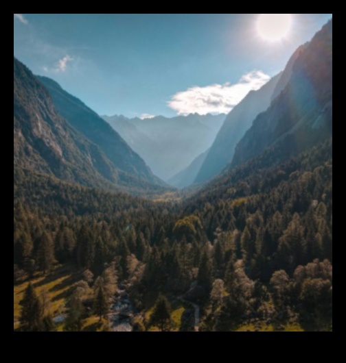 Harmonic Haven: Instrumente muzicale pentru sufletul melodic