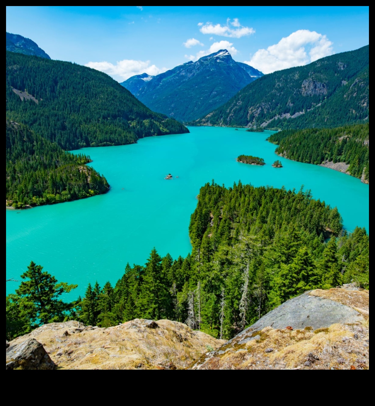 Ce rol joacă parcurile naționale în păstrarea peisajelor naturale?