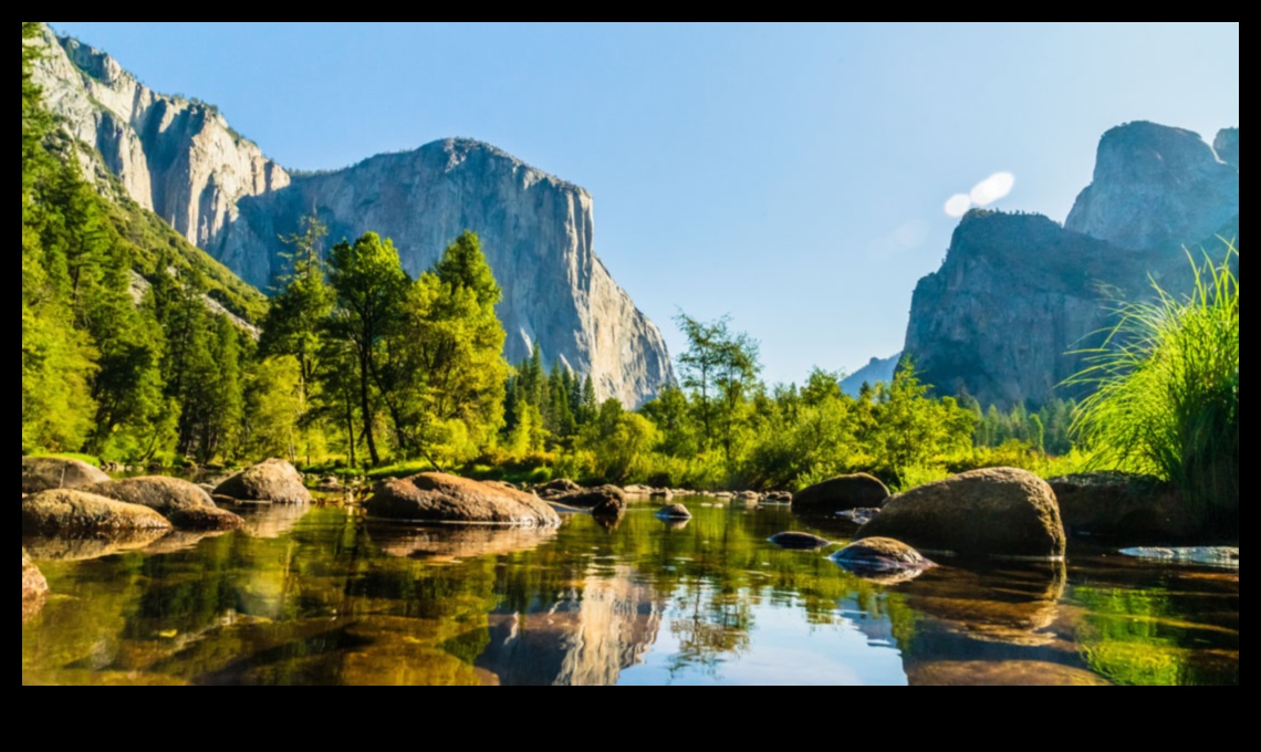 Ce rol joacă parcurile naționale în păstrarea peisajelor naturale?