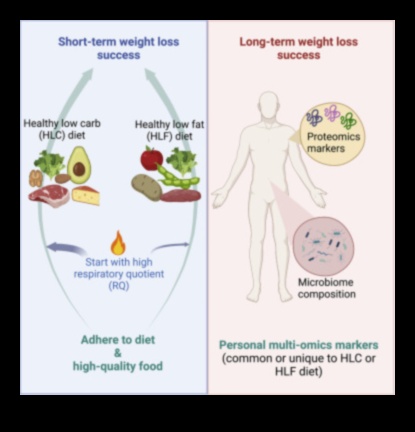 Dietele pe termen lung și importanța verificărilor fizice obișnuite