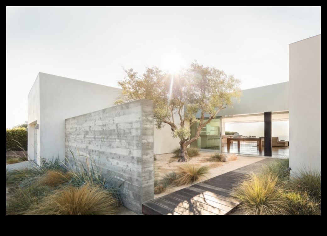 Armonie arhitecturală: design peisaj în simbioză