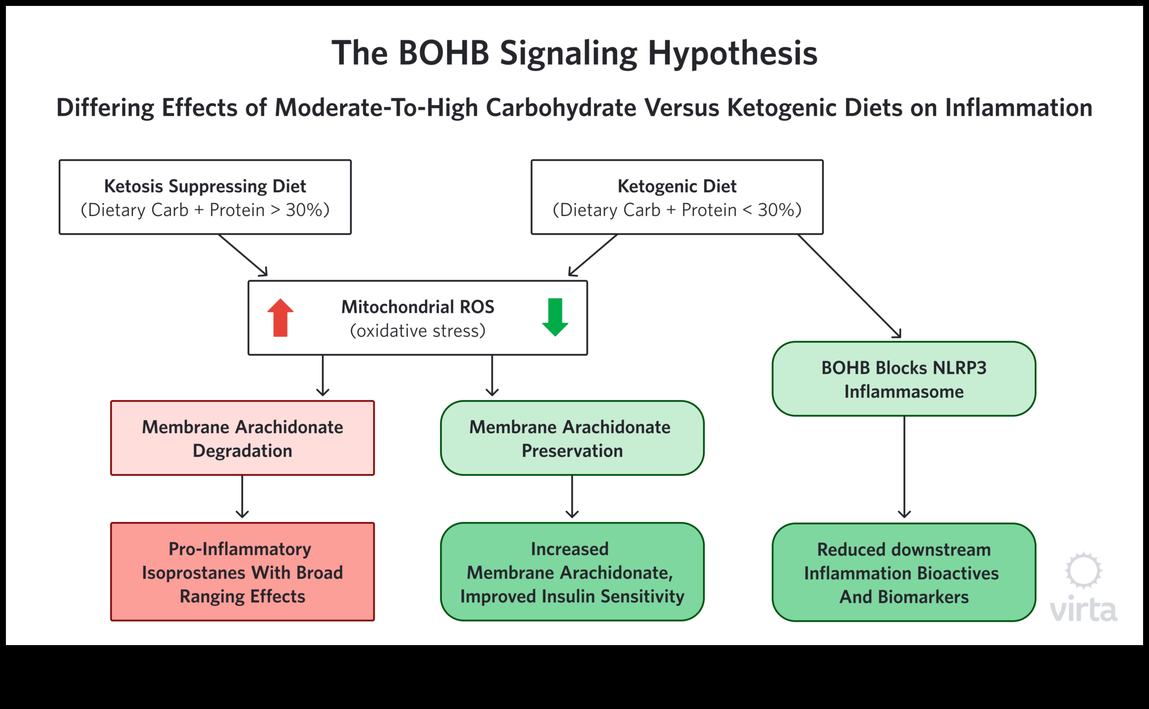 Impactul dietei ketogene asupra nivelului de inflamație