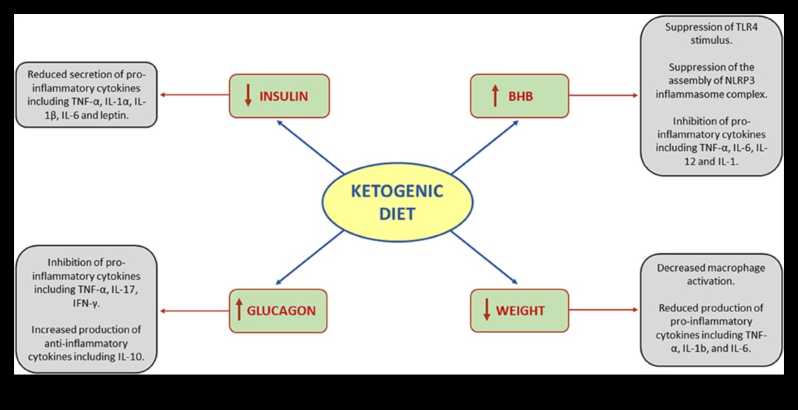Impactul dietei ketogene asupra nivelului de inflamație