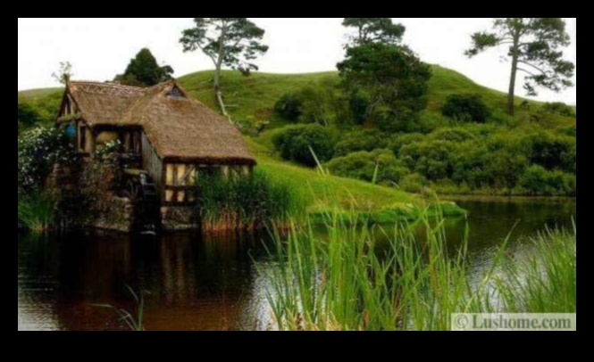 Case sălbatice în care natura prosperă 3 Prelucrarea lemnului pentru animale sălbatice: meșteșuguri pentru creaturi în aer liber