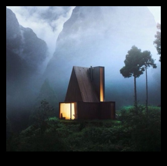 Case sălbatice în care natura prosperă 5 Prelucrarea lemnului pentru animale sălbatice: meșteșuguri pentru creaturi în aer liber