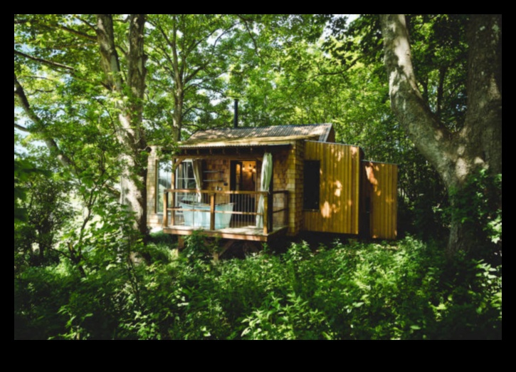 Case sălbatice în care natura prosperă 4 Prelucrarea lemnului pentru animale sălbatice: meșteșuguri pentru creaturi în aer liber