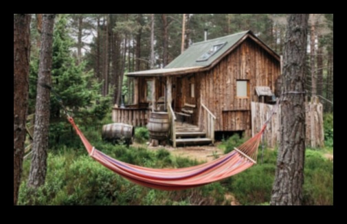 Case sălbatice în care natura prosperă 2 Prelucrarea lemnului pentru animale sălbatice: meșteșuguri pentru creaturi în aer liber