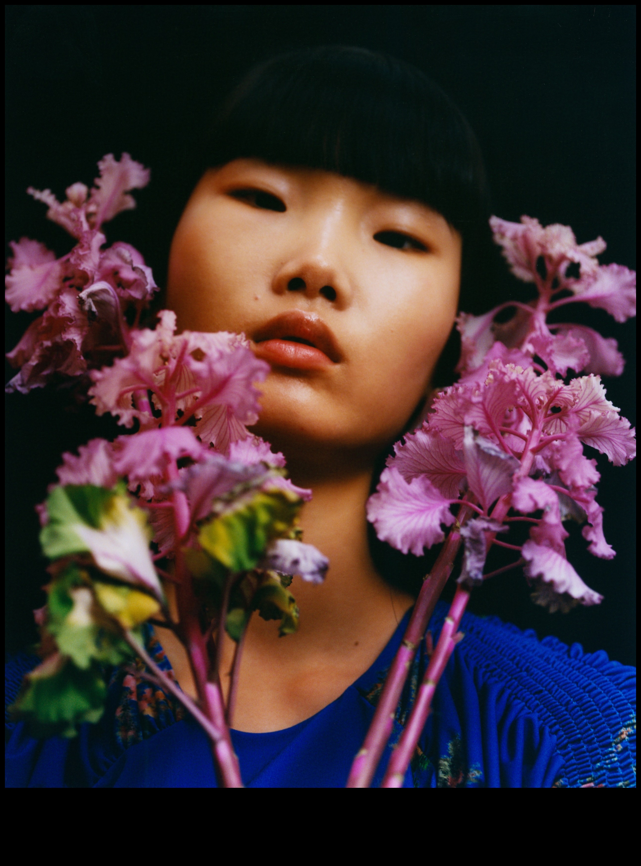 Parfum floral: Arome în grădini și pajiști