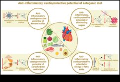 Dieta ketogenă un potențial tratament antiinflamator