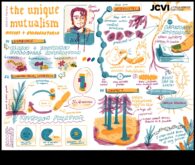 Expresionismul abstract și natura o relație simbiotică