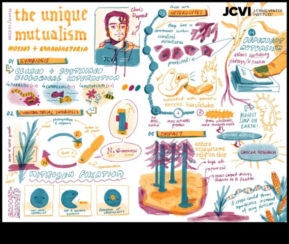 Expresionismul abstract și natura o relație simbiotică