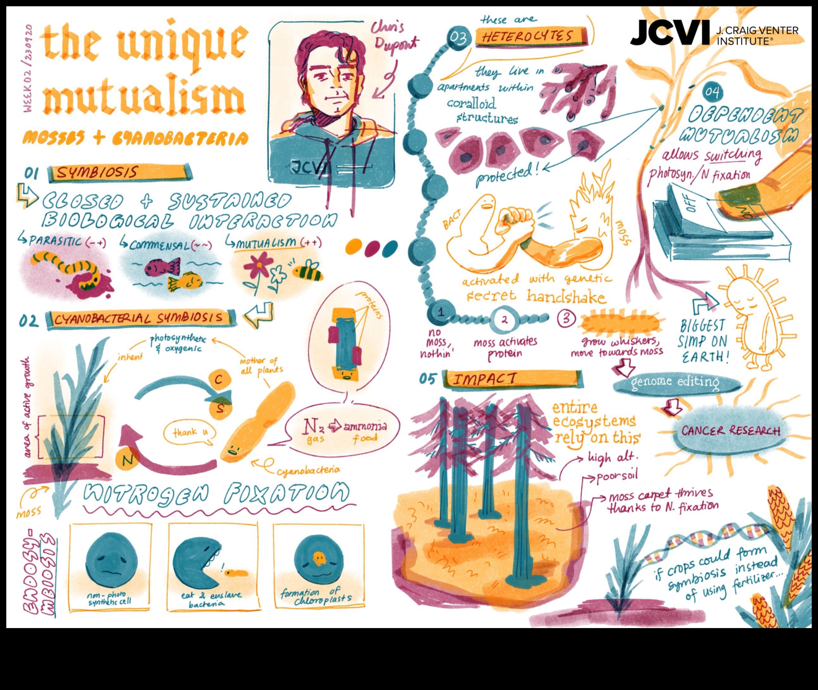 Expresii abstracte: interpretări ale naturii în artă