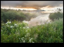 Filtrele naturii umede
