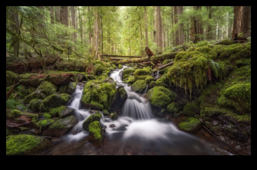 Călătorie spre seninătate: priveliști peisajului care preia respirația