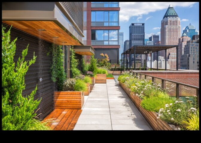 Revoluția acoperișului verde