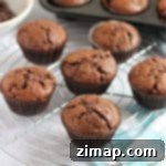 Εύκολη Συνταγή για Μάφιν με Κολοκύθι και Σοκολάτα 6 μάφινς σοκολάτας με τριμμένο κολοκύθι σε σχάρα ψύξης