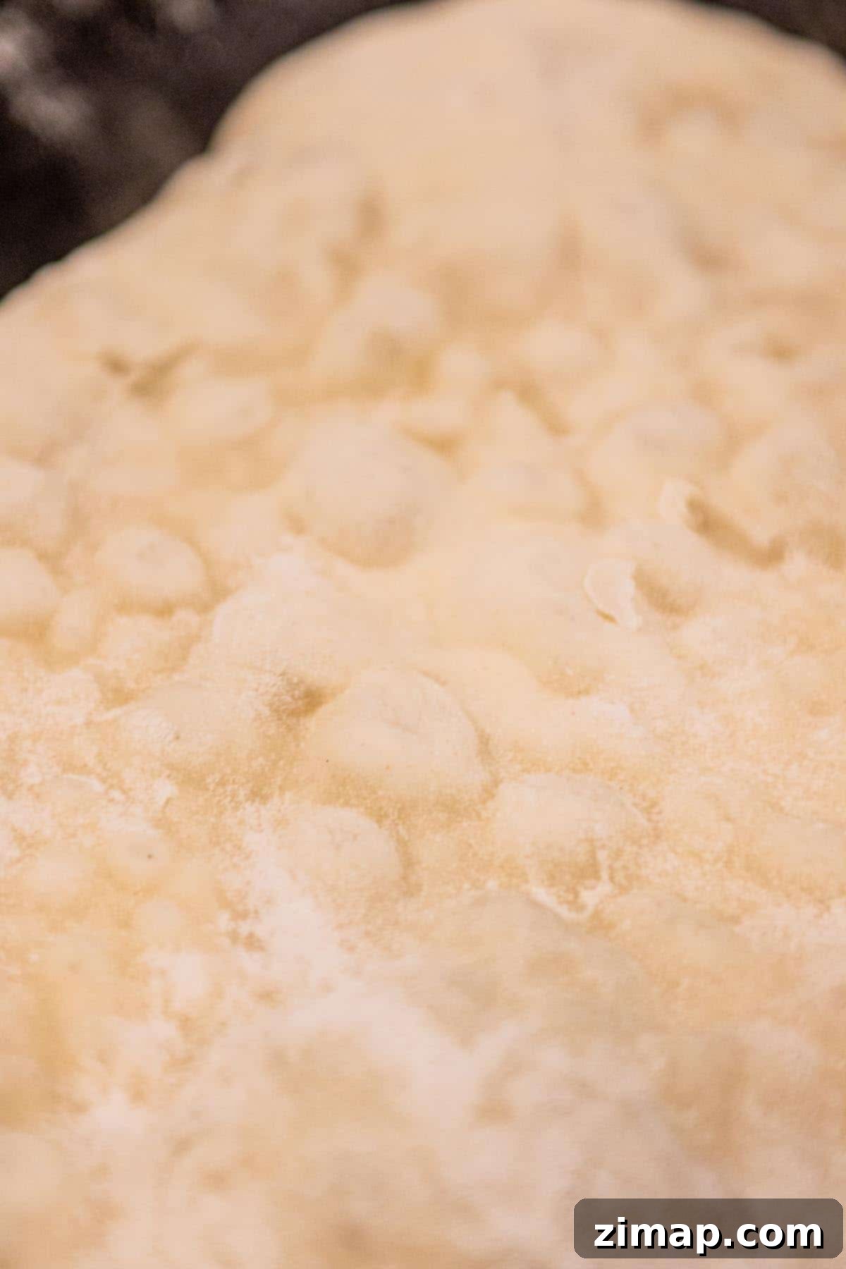 Προζυμένιο Νάαν με περίσσευμα 8 Ένα κομμάτι naan ψήνεται σε μαντεμένιο τηγάνι.