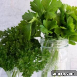 Πώς να διατηρήσετε τον μαϊντανό φρέσκο 8 Δύο γυάλινα βάζα, ένα γεμάτο με πλατύφυλλο μαϊντανό και το άλλο με σγουρόφυλλο μαϊντανό.