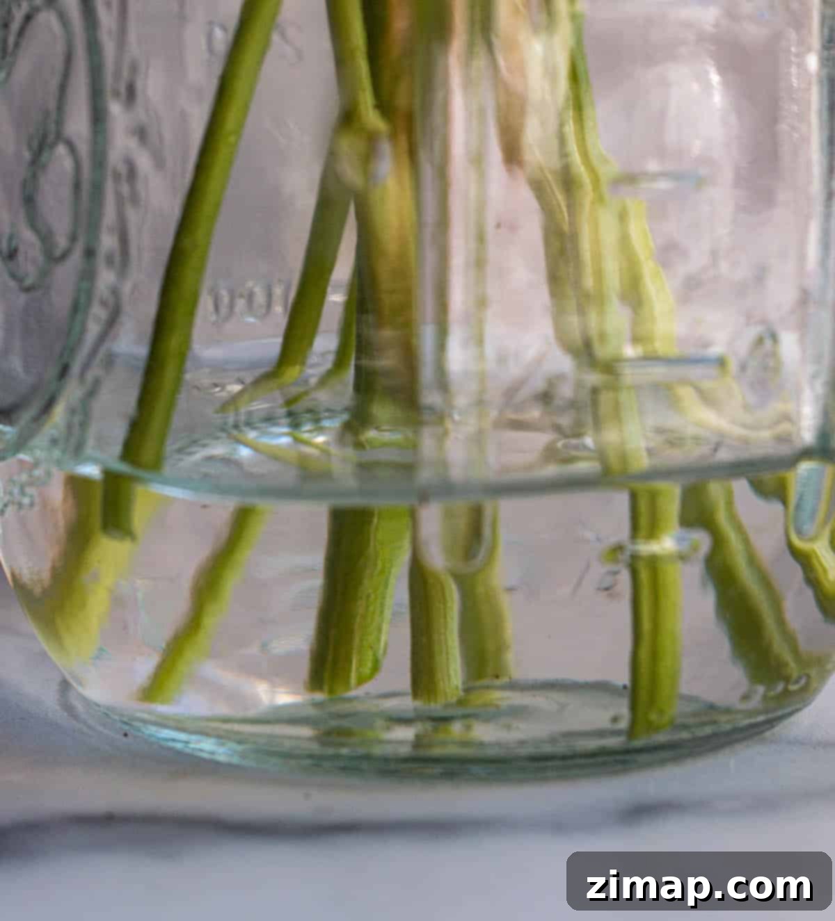 Πώς να διατηρήσετε τον μαϊντανό φρέσκο 5 Μαϊντανός σε γυάλινο βάζο με νερό, μέσα στο ψυγείο.
