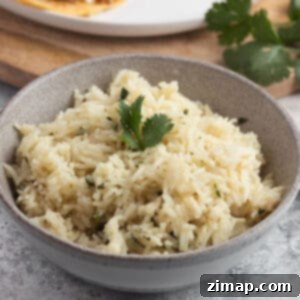 Ρύζι με κόλιανδρο και μοσχολέμονο 7 Ένα μικρό μπολ με μια στοίβα ρύζι και φρέσκο κόλιανδρο.