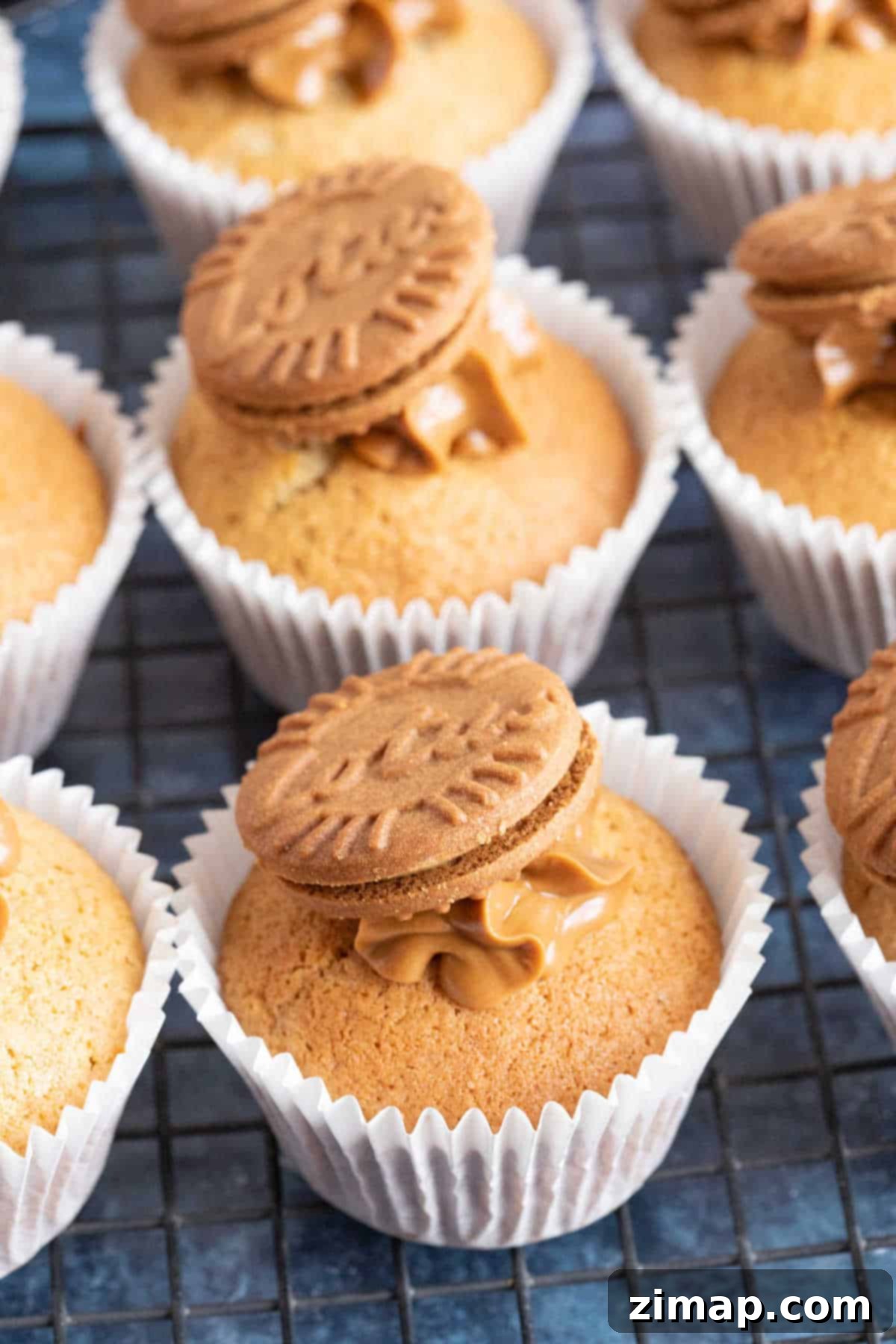 Εύκολη συνταγή για μάφινς Biscoff 6 Biscoff muffins σε λευκές θήκες.