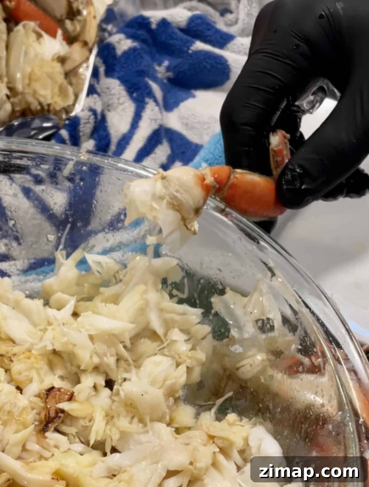 Μαγείρεμα, Καθάρισμα και Καρύκευση Καβουριού Dungeness 16 Ένα πόδι καβουριού χτυπιέται στην πλευρά του μπολ για να αφαιρεθεί το κρέας από το σώμα.