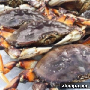 Μαγείρεμα, Καθάρισμα και Καρύκευση Καβουριού Dungeness 28 Φρεσκοαλιευμένο καβούρι Dungeness σε πάγο.