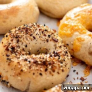 Χειροποίητα Προζυμένια Μπέιγκελ 19 Bagels με όλα τα toppings και ένα με τσένταρ.